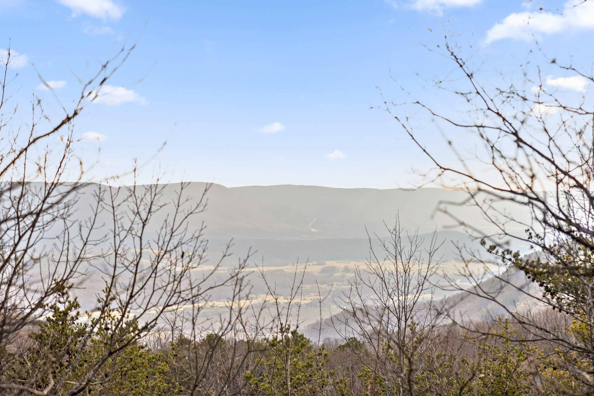 Brockdell Road, Pikeville, Tennessee image 4