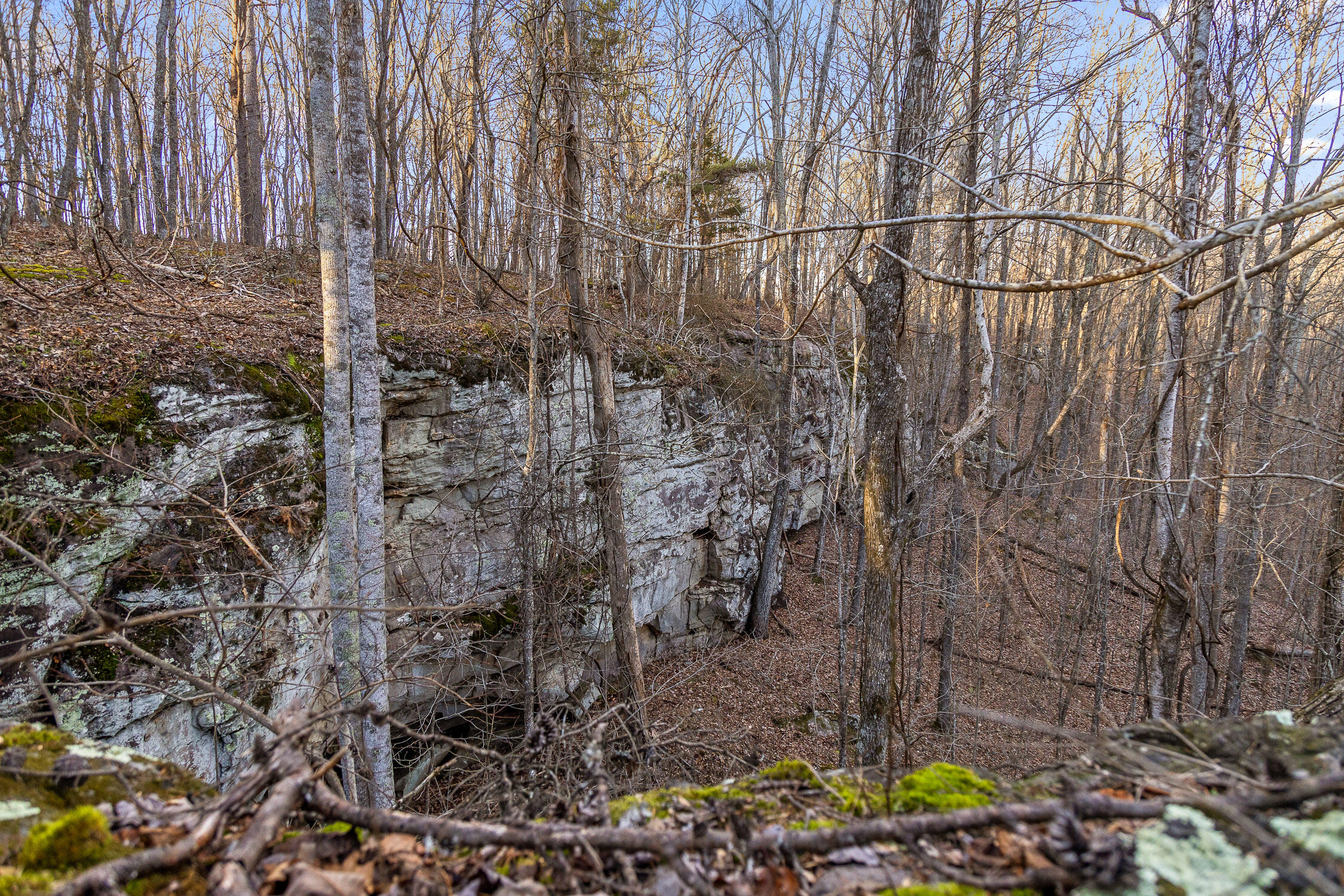 Brockdell Road, Pikeville, Tennessee image 19