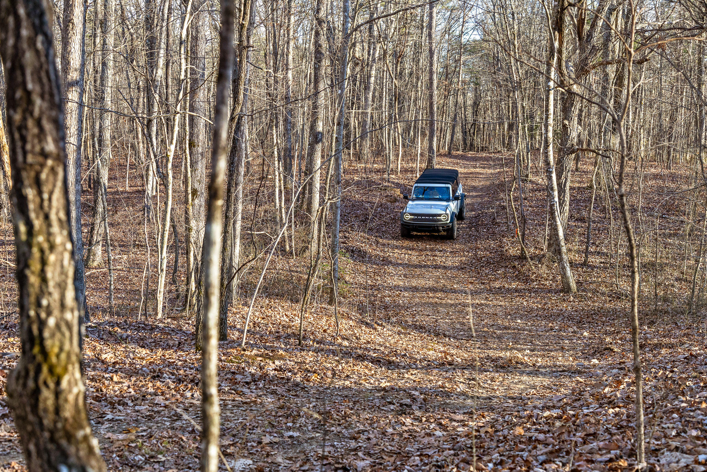 Brockdell Road, Pikeville, Tennessee image 10