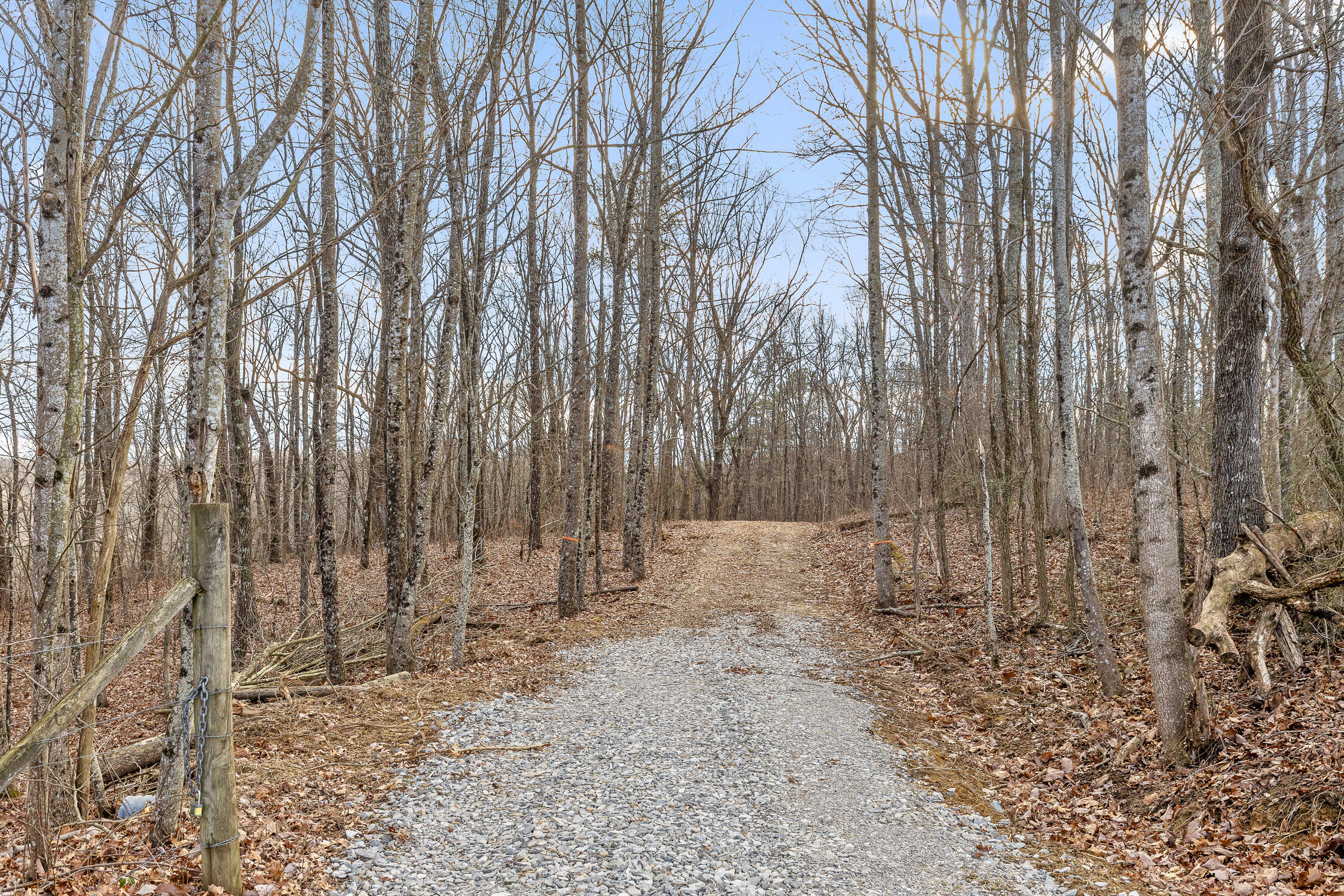 Brockdell Road, Pikeville, Tennessee image 9