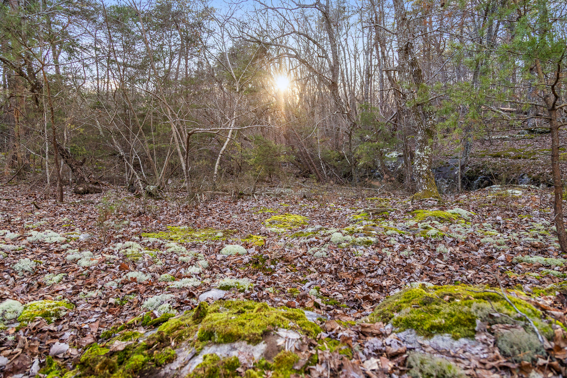 Brockdell Road, Pikeville, Tennessee image 38