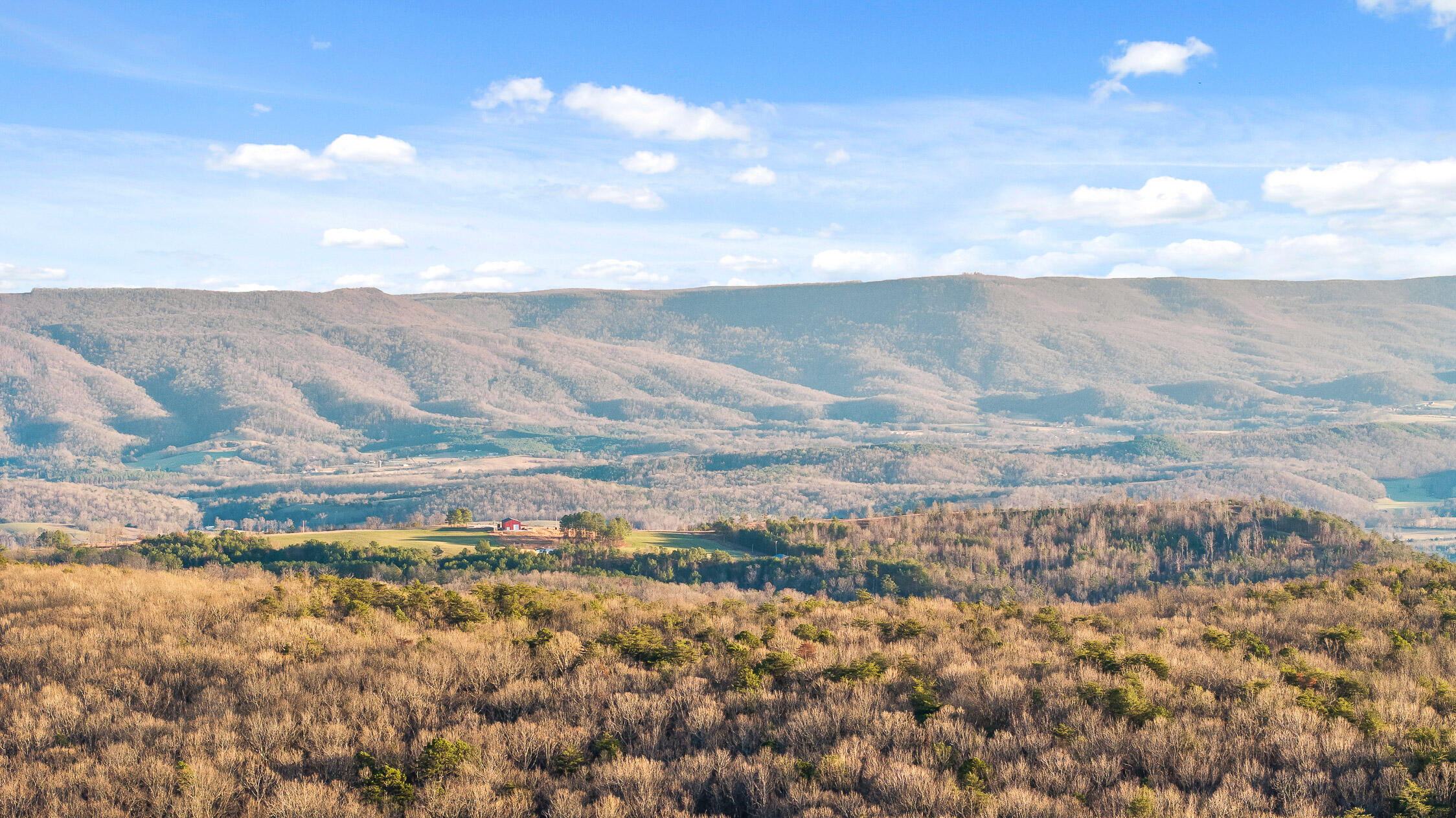 Brockdell Road, Pikeville, Tennessee image 26