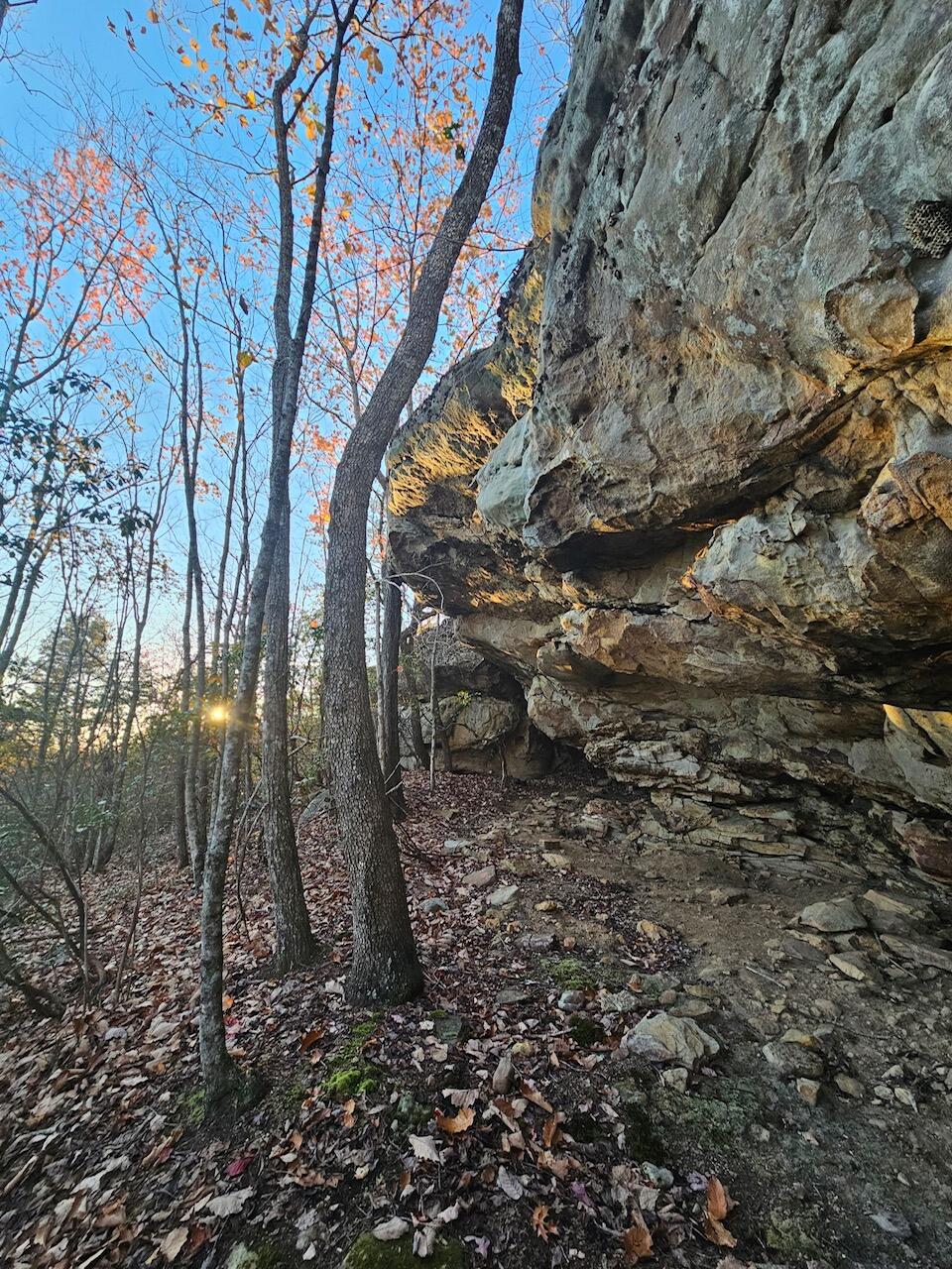 Brockdell Road, Pikeville, Tennessee image 40