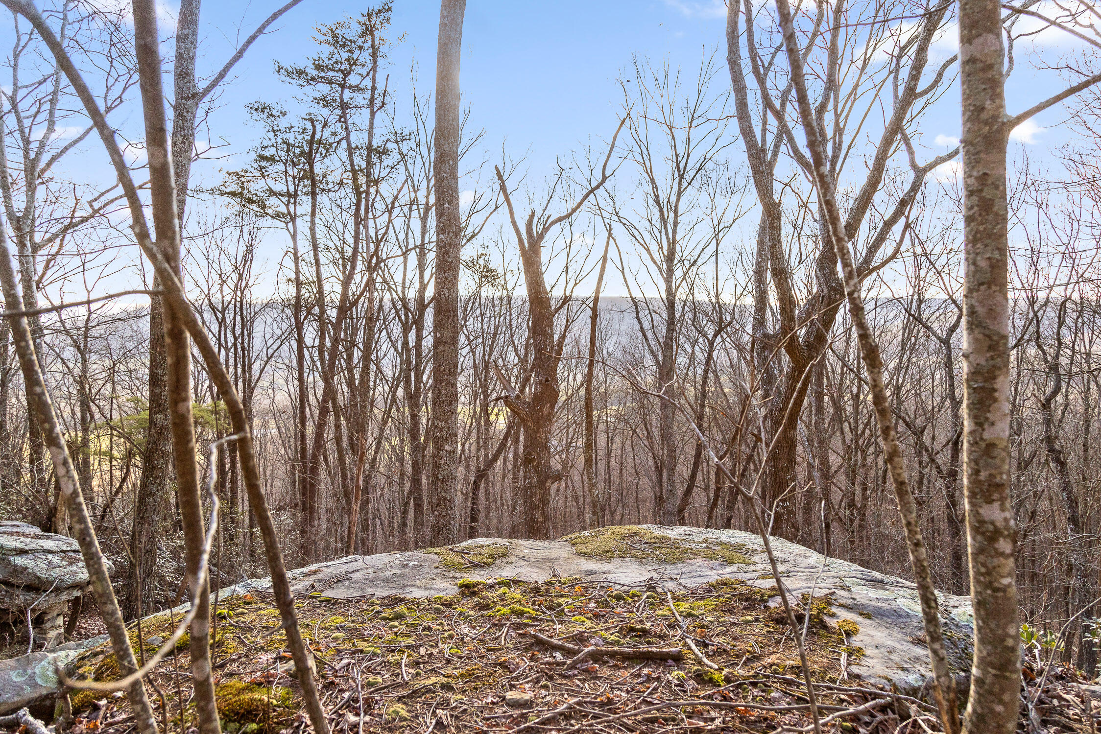 Brockdell Road, Pikeville, Tennessee image 18