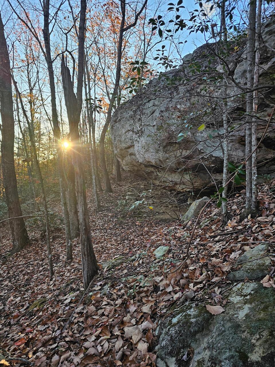 Brockdell Road, Pikeville, Tennessee image 41