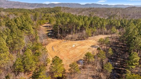 Tiny photo for Tract 11 Conniston Road, Chatsworth, GA 30705 (MLS # 1528015)