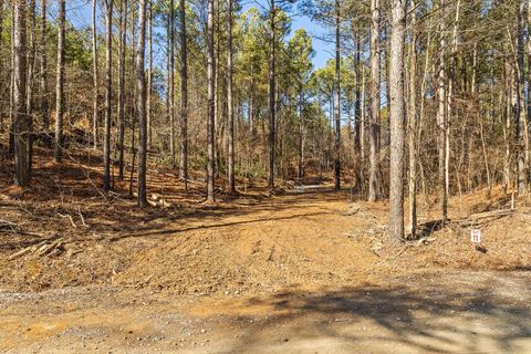Tiny photo for Tract 11 Conniston Road, Chatsworth, GA 30705 (MLS # 1528015)