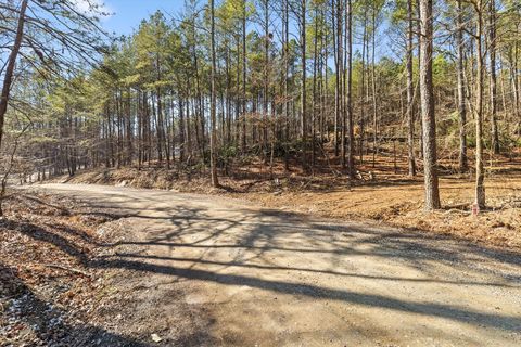 Tiny photo for Tract 11 Conniston Road, Chatsworth, GA 30705 (MLS # 1528015)