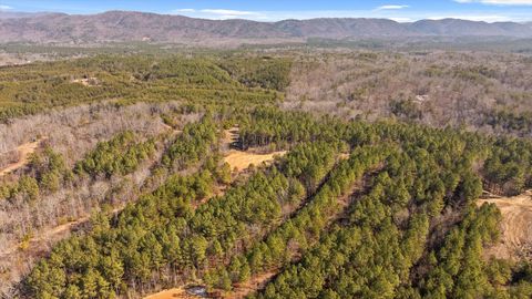 Tiny photo for Tract 11 Conniston Road, Chatsworth, GA 30705 (MLS # 1528015)