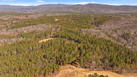 Tiny photo for Tract 11 Conniston Road, Chatsworth, GA 30705 (MLS # 1528015)