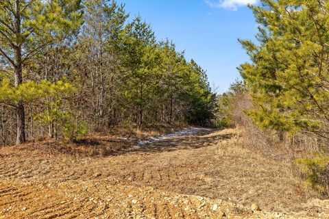 Tiny photo for Tract 11 Conniston Road, Chatsworth, GA 30705 (MLS # 1528015)