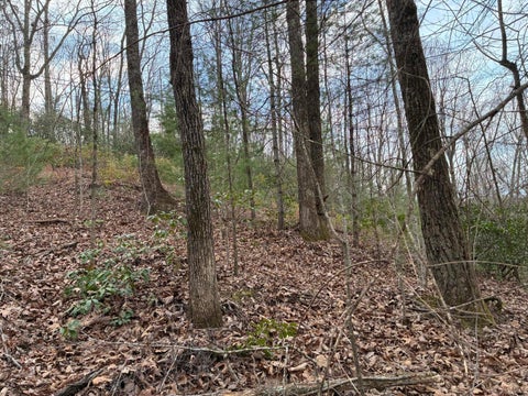 Vacant Land For Sale - 00 Chestnut Mountain Road<br/> Polk County, Reliance, TN 37369