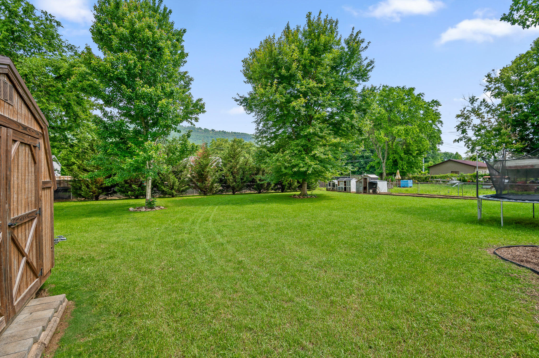 248 S Moss Avenue, Chattanooga, Tennessee image 9