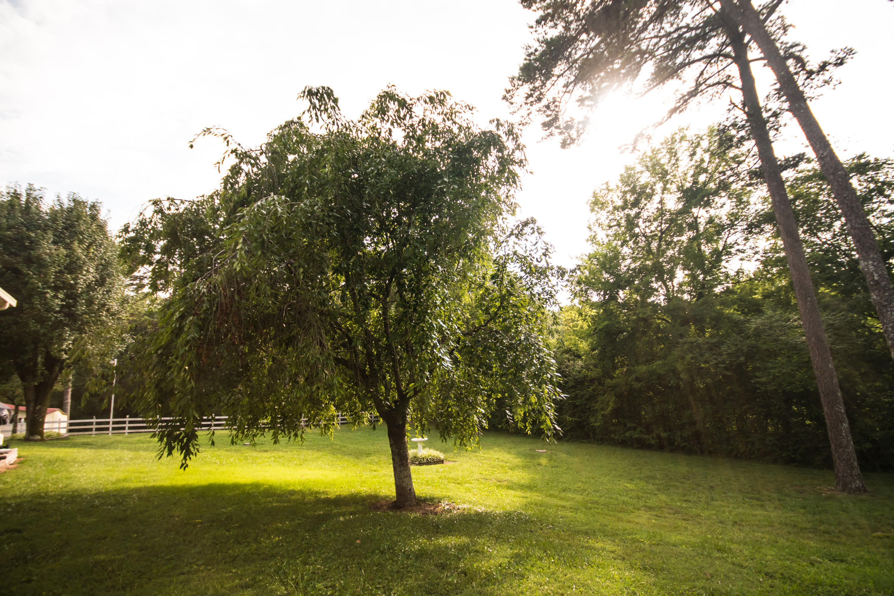 1338 Thrasher Pike, Hixson, Tennessee image 22