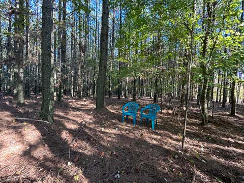 Vacant Land For Sale - 2035 Crockett Pointe<br/> Jasper, TN 37347