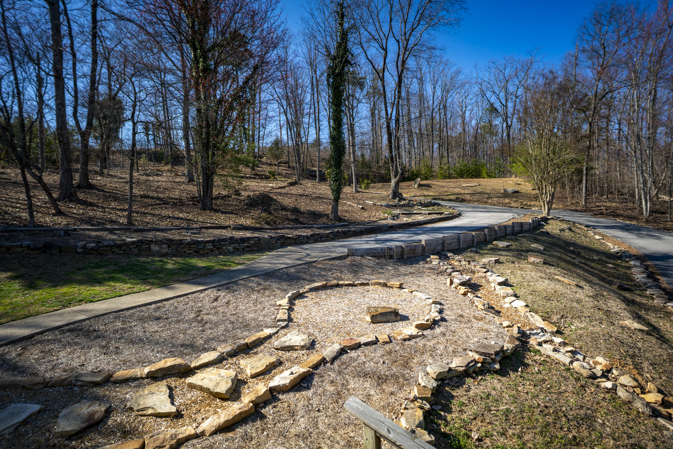 12128 Laurbrow Road, Soddy Daisy, Tennessee image 3