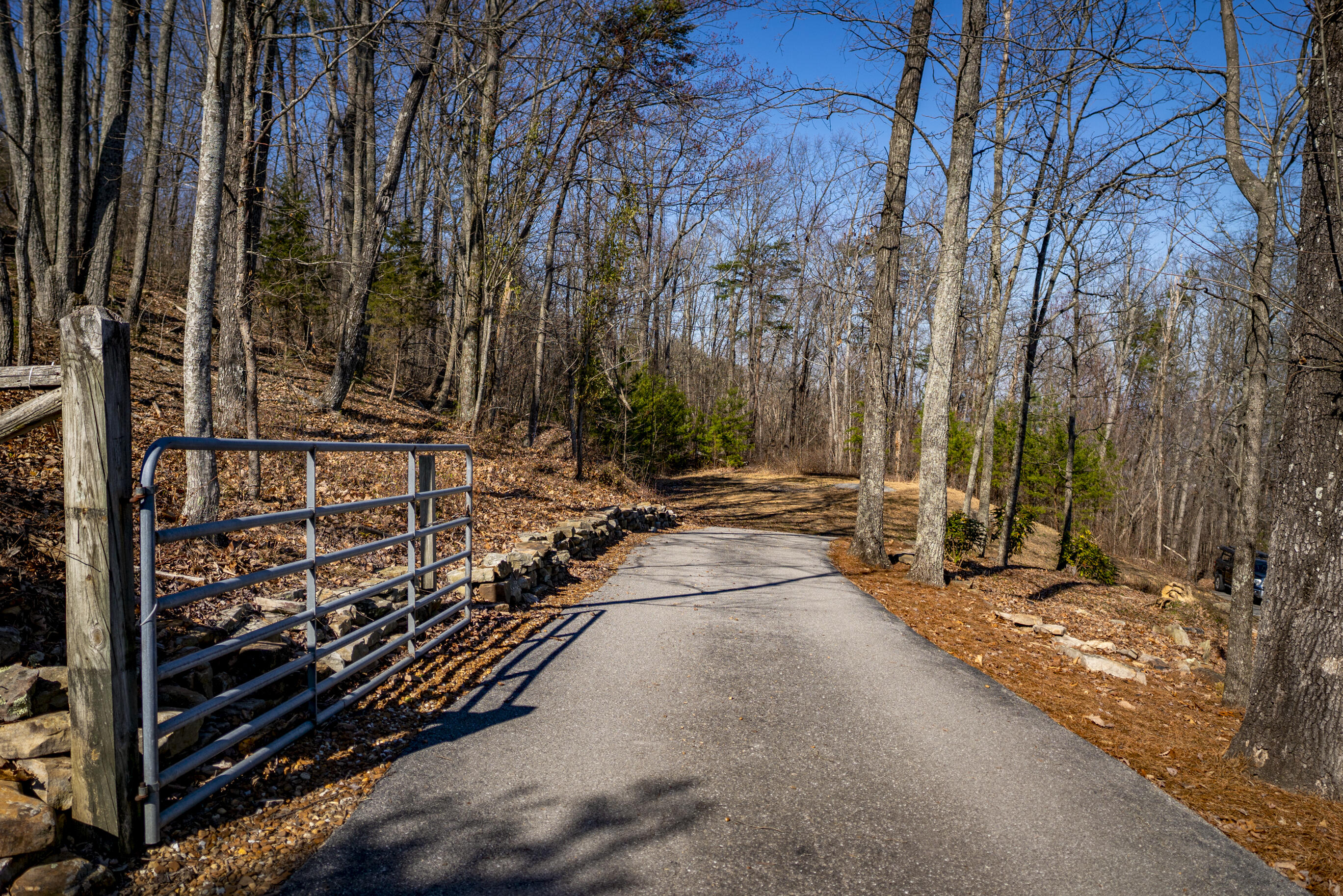 12128 Laurbrow Road, Soddy Daisy, Tennessee image 2