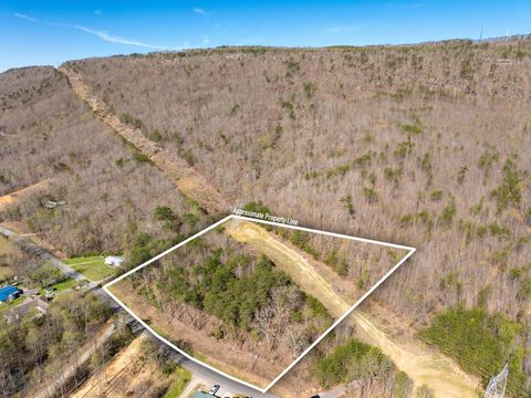 Photo of 7155 Back Valley Road, Evensville, TN 37332 (MLS # 1531886)