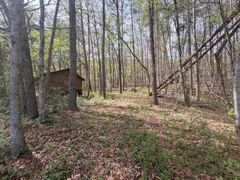 Vacant Land For Sale - 7155 Back Valley Road<br/> Rhea County, Evensville, TN 37332