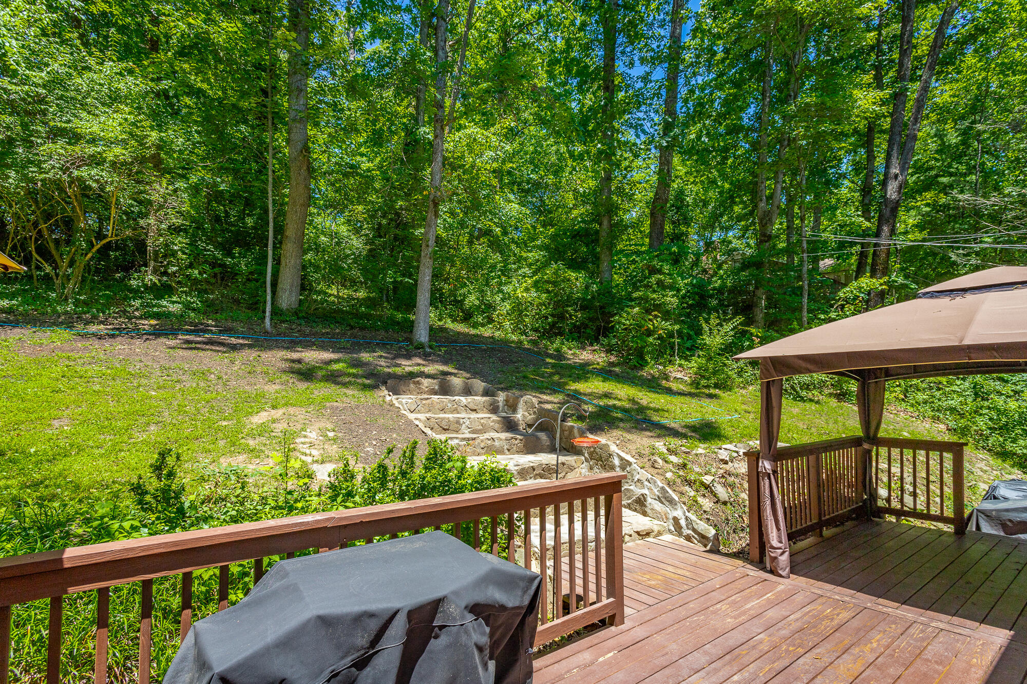 821 Ravine Road, Signal Mountain, Tennessee image 4