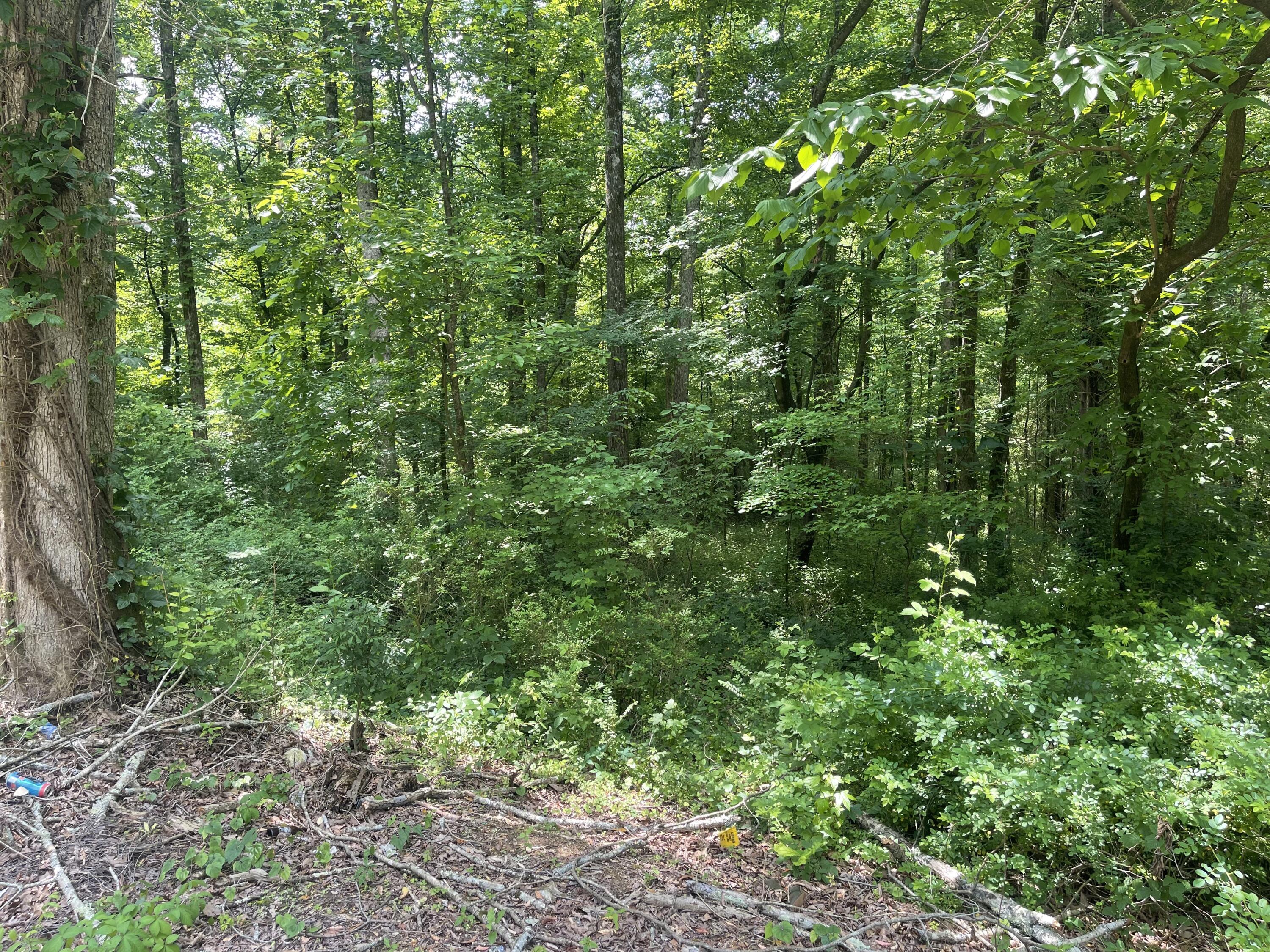 13747 Lillard Rd Road, Soddy Daisy, Tennessee image 4