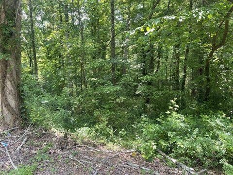 Tiny photo for 13747 Lillard Rd Road, Soddy Daisy, TN 37379 (MLS # 1374106)