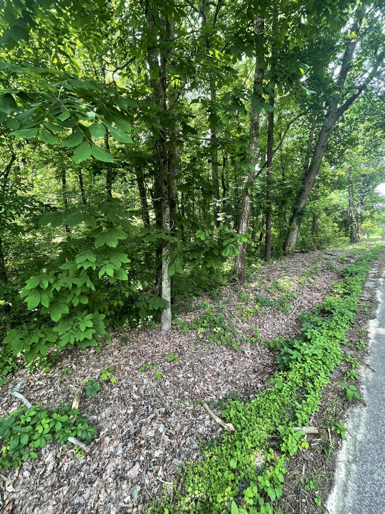 13747 Lillard Rd Road, Soddy Daisy, Tennessee image 6