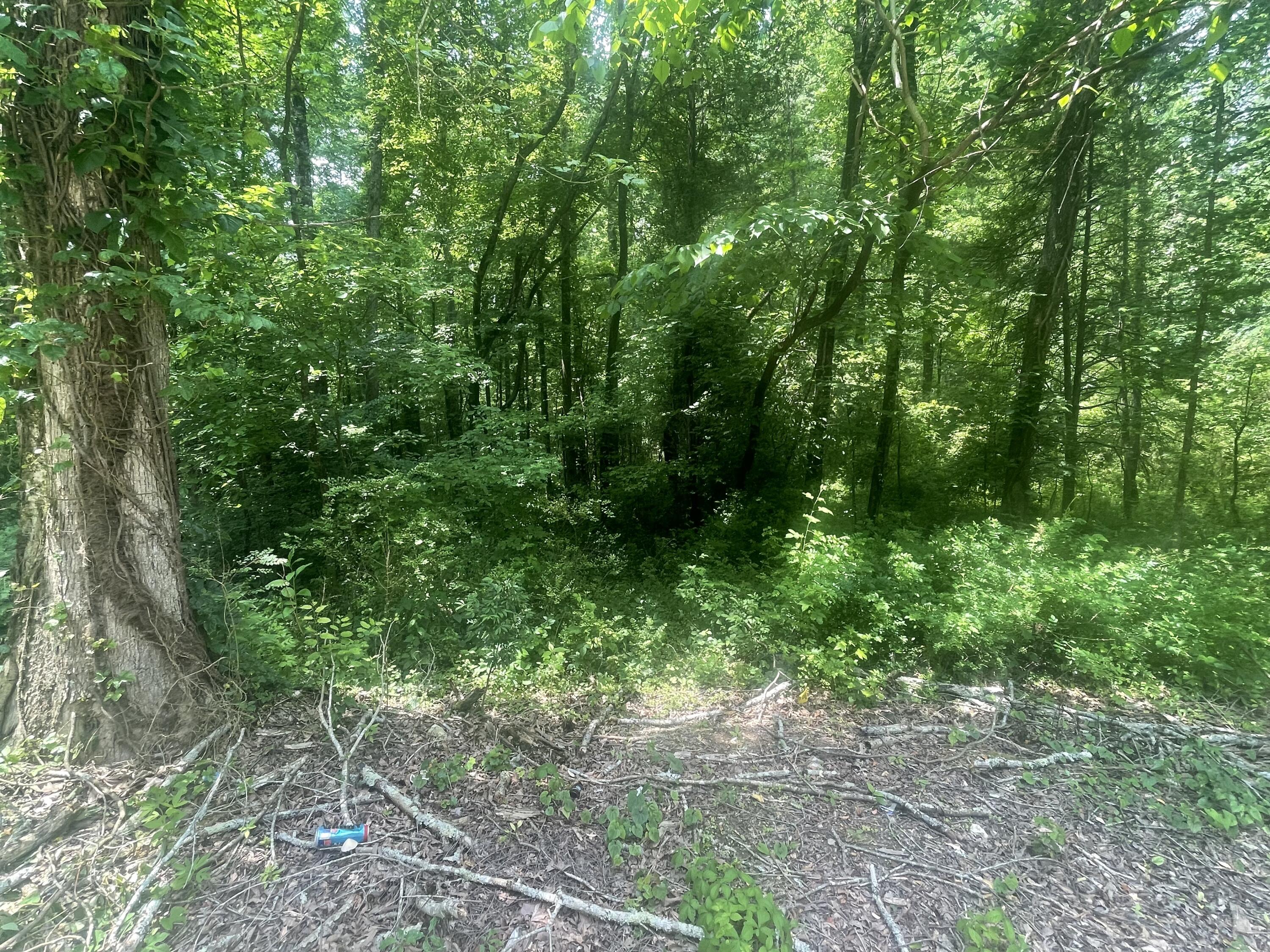 13747 Lillard Rd Road, Soddy Daisy, Tennessee image 2