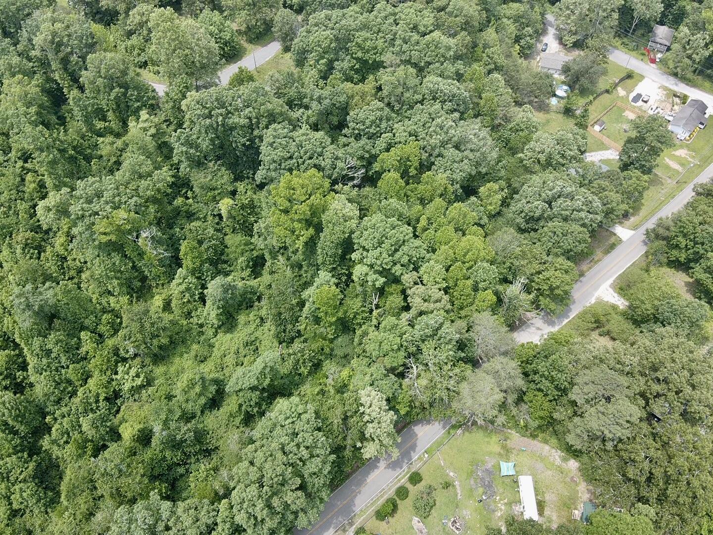13747 Lillard Rd Road, Soddy Daisy, Tennessee image 8