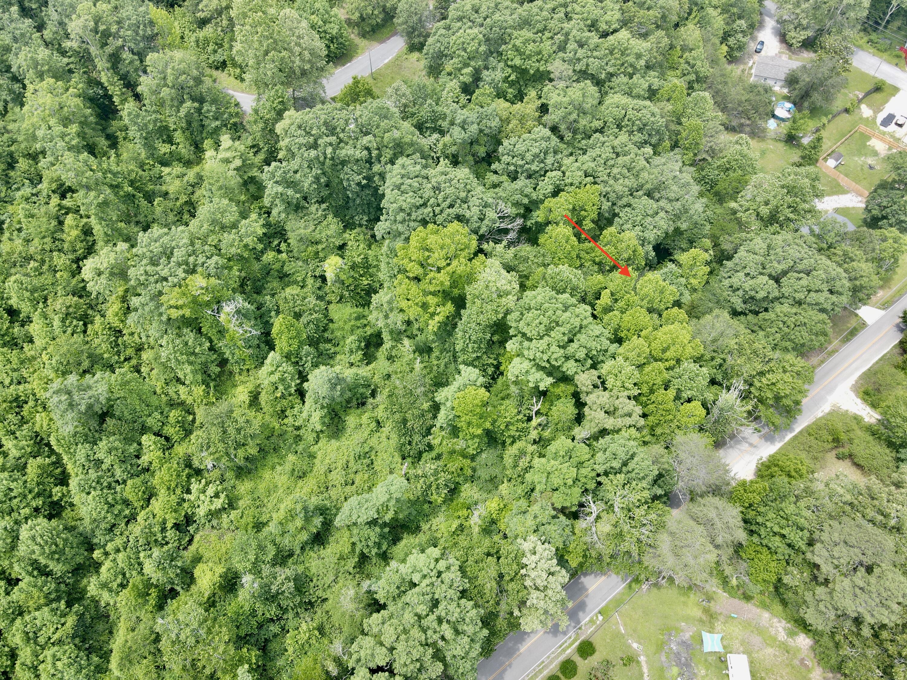 13747 Lillard Rd Road, Soddy Daisy, Tennessee image 10