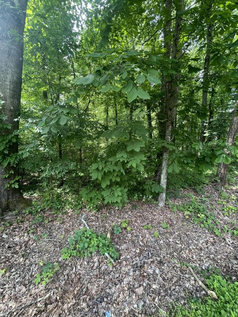 Tiny photo for 13747 Lillard Rd Road, Soddy Daisy, TN 37379 (MLS # 1374106)