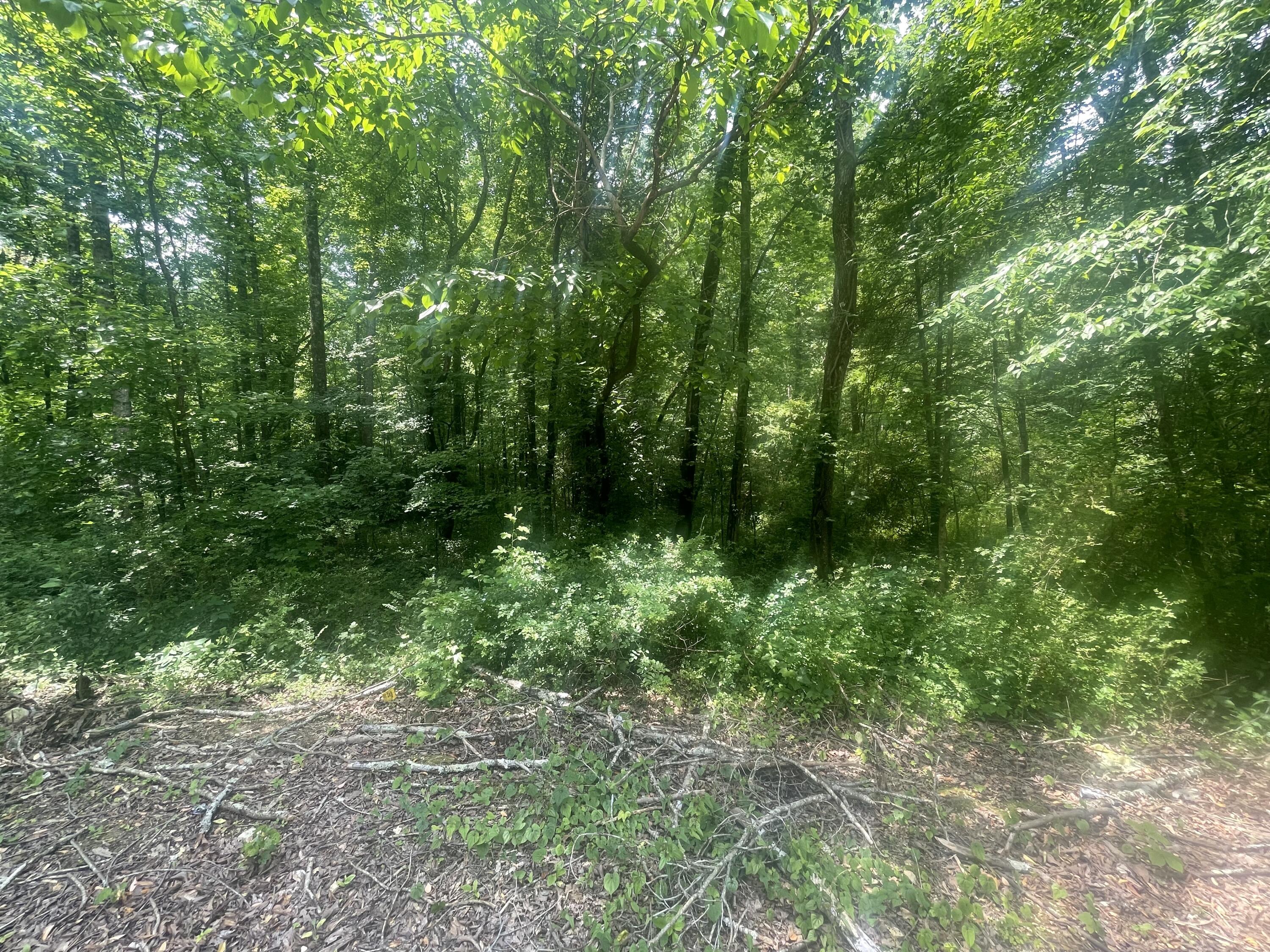 13747 Lillard Rd Road, Soddy Daisy, Tennessee image 3