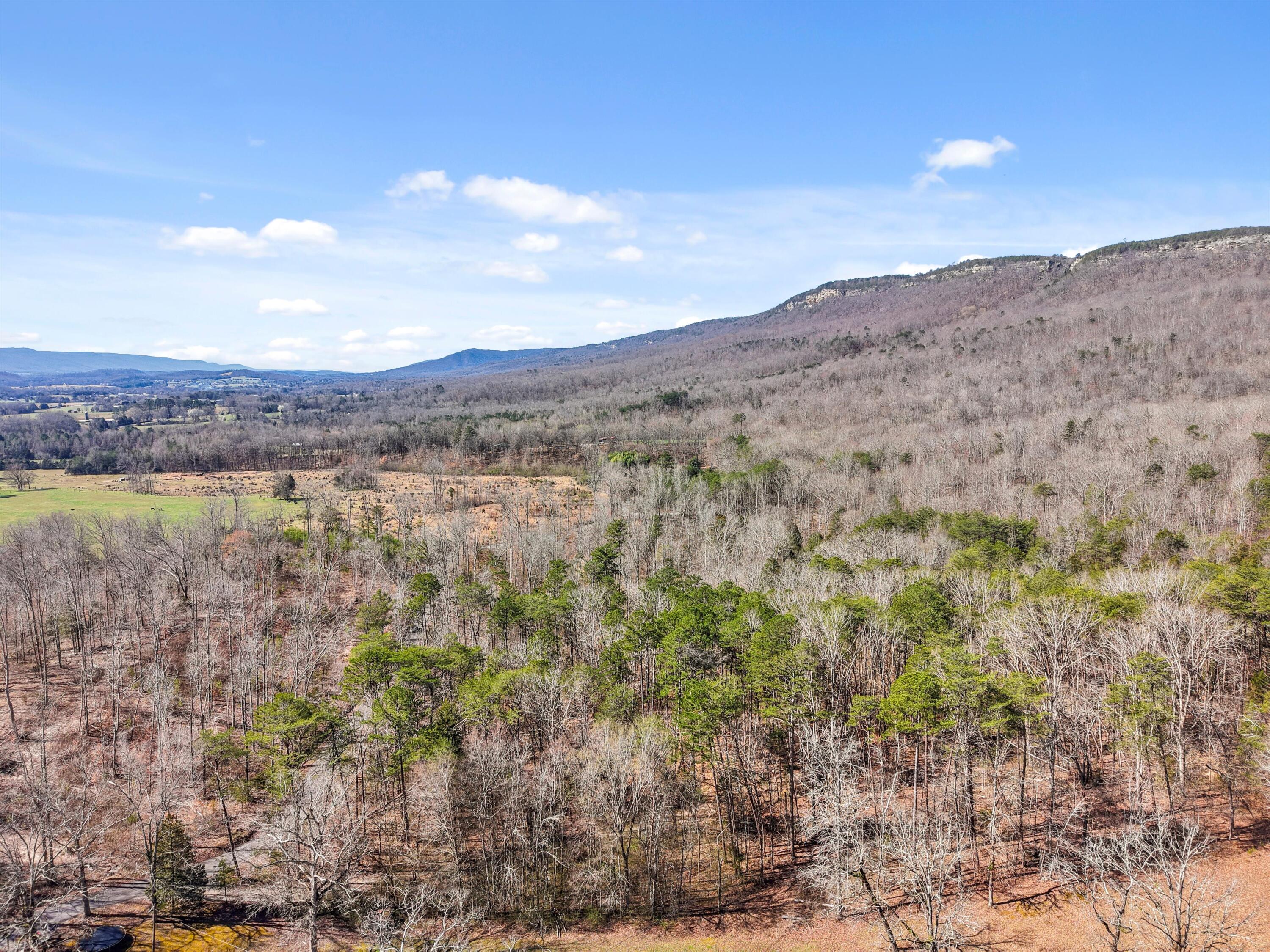 512 Sutherland Road, Dunlap, Tennessee image 6