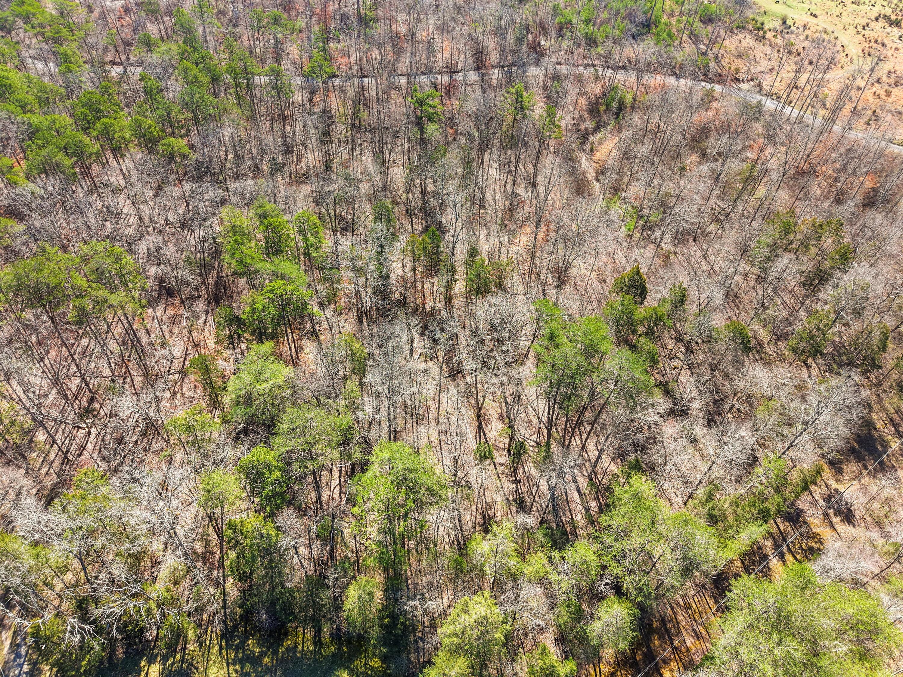 512 Sutherland Road, Dunlap, Tennessee image 8