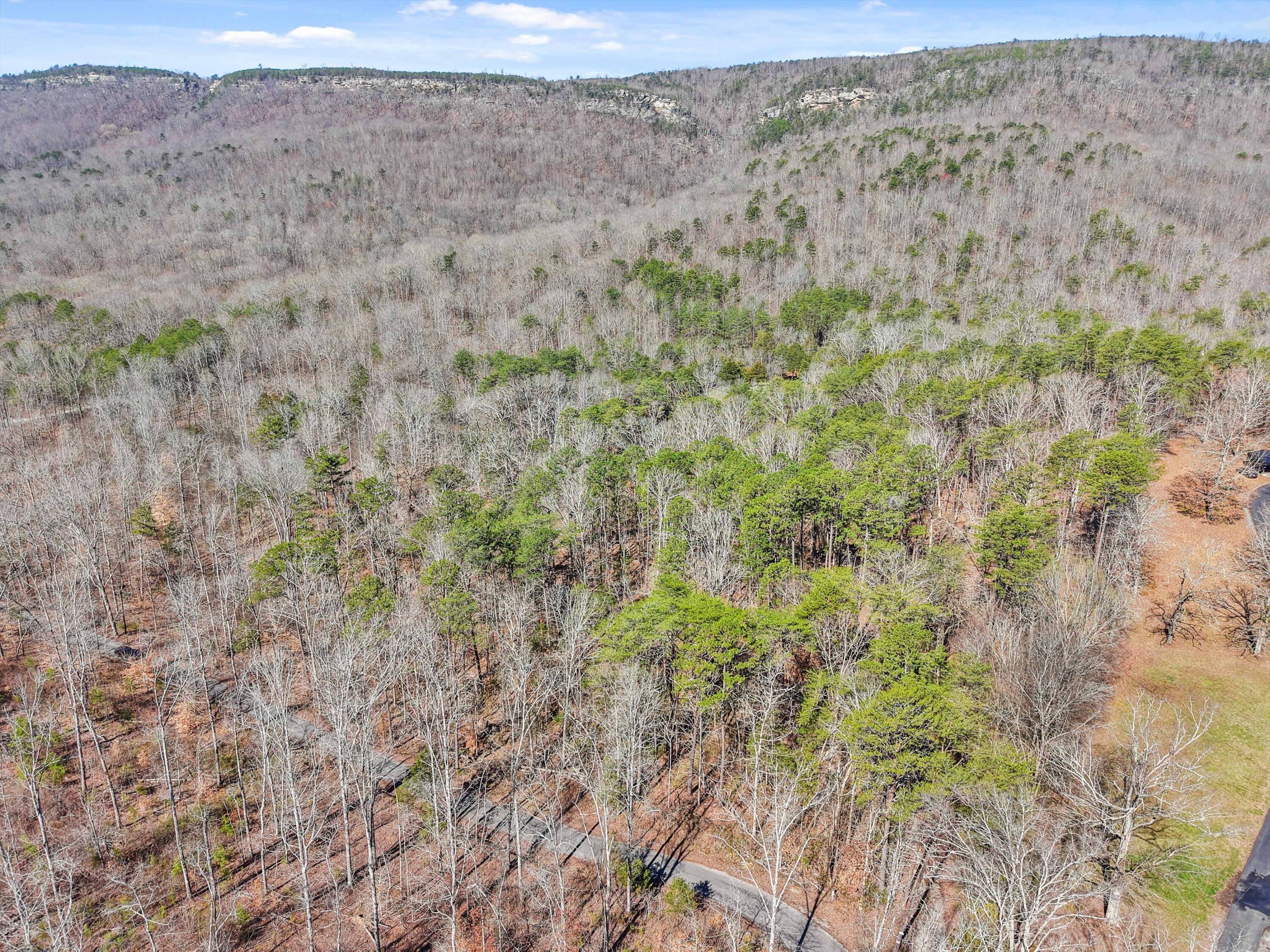 512 Sutherland Road, Dunlap, Tennessee image 4