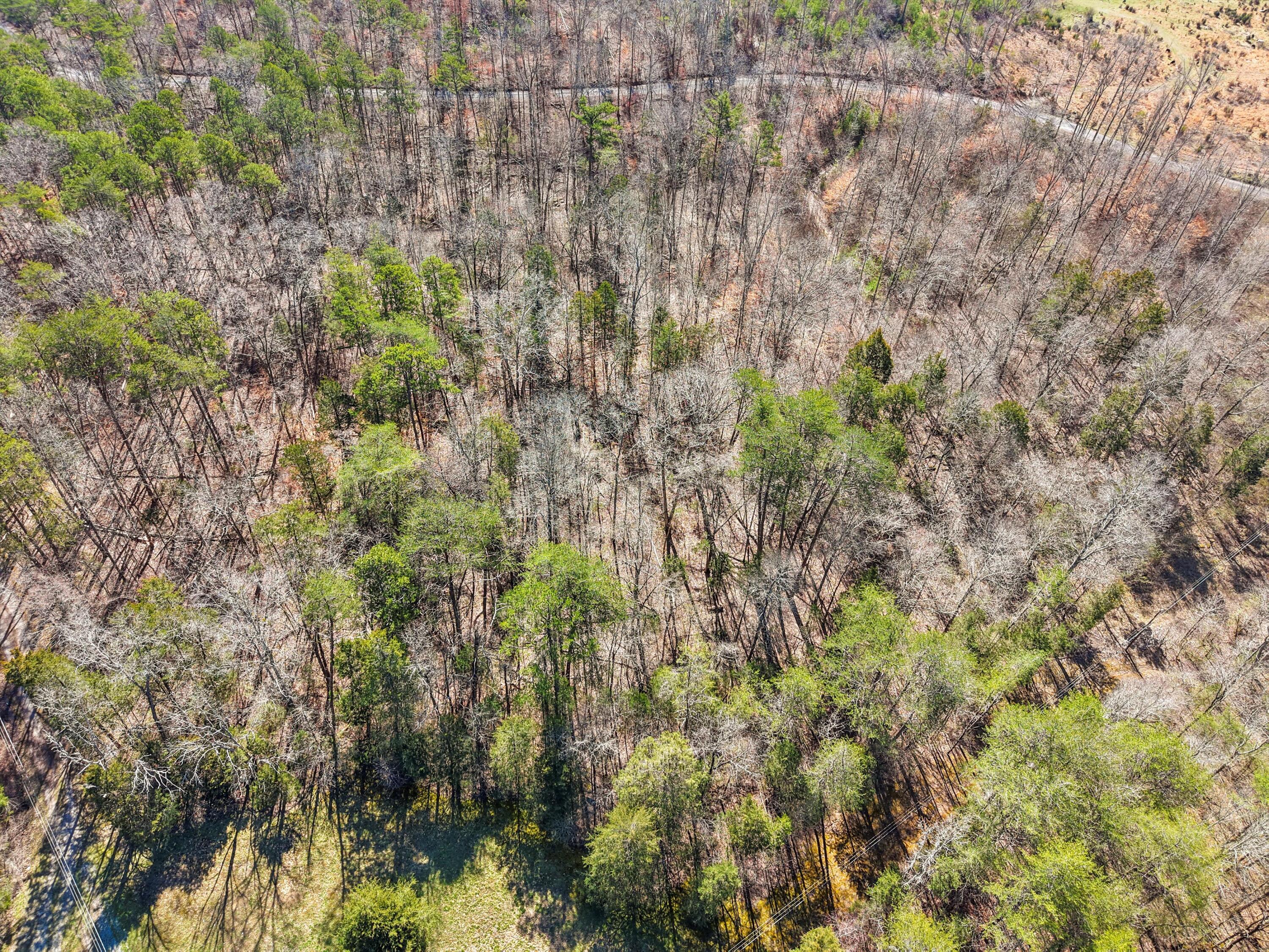 512 Sutherland Road, Dunlap, Tennessee image 9