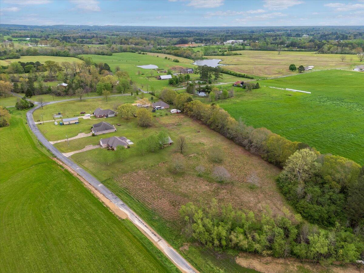 730 River Bend Road, Altoona, Alabama image 48