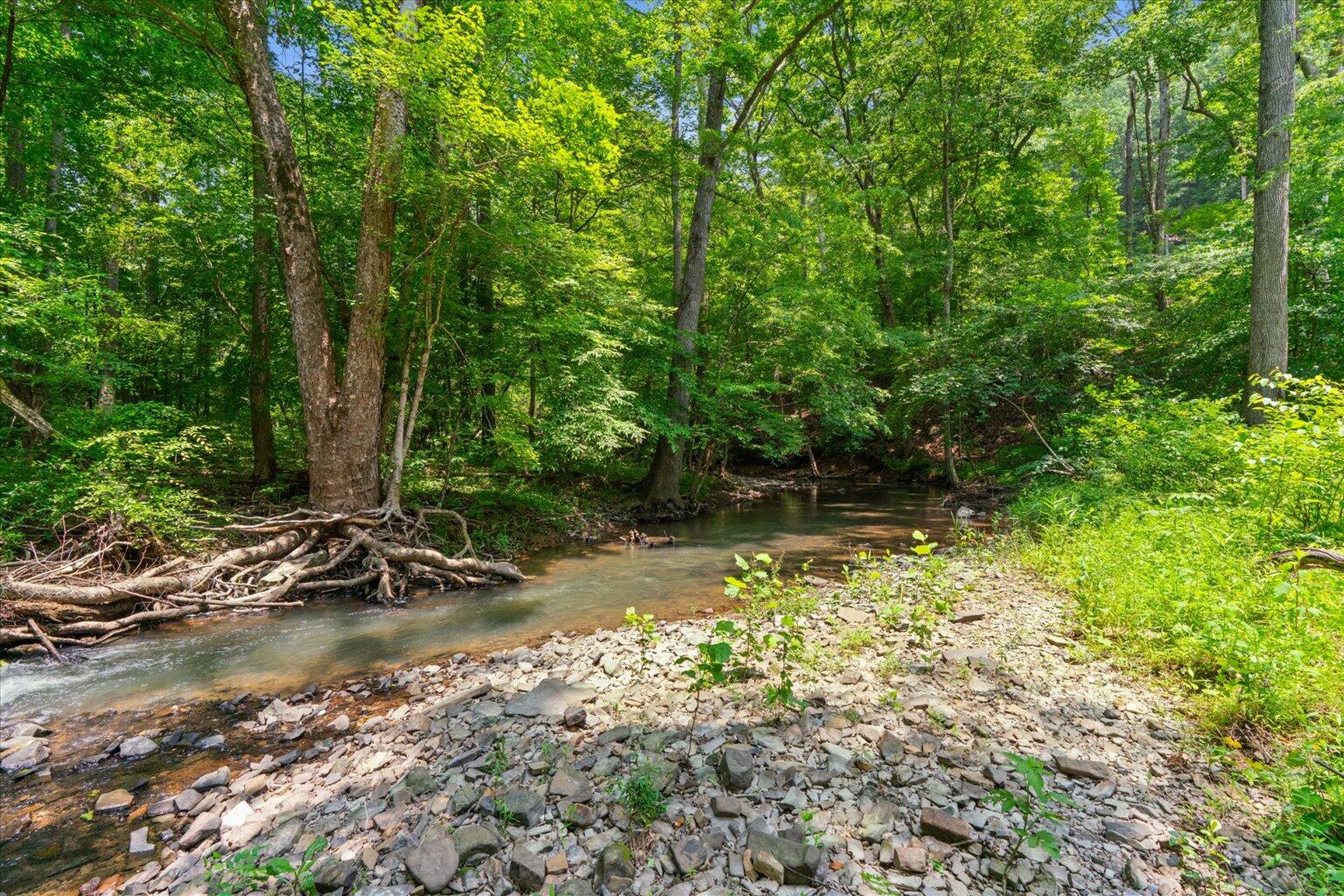 00 Houston Valley Road, Ringgold, Georgia image 11