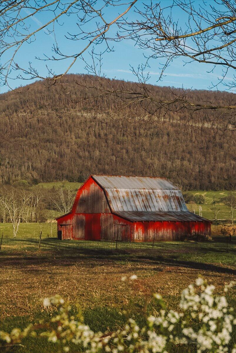 11414 Upper East Valley Road, Pikeville, Tennessee image 1