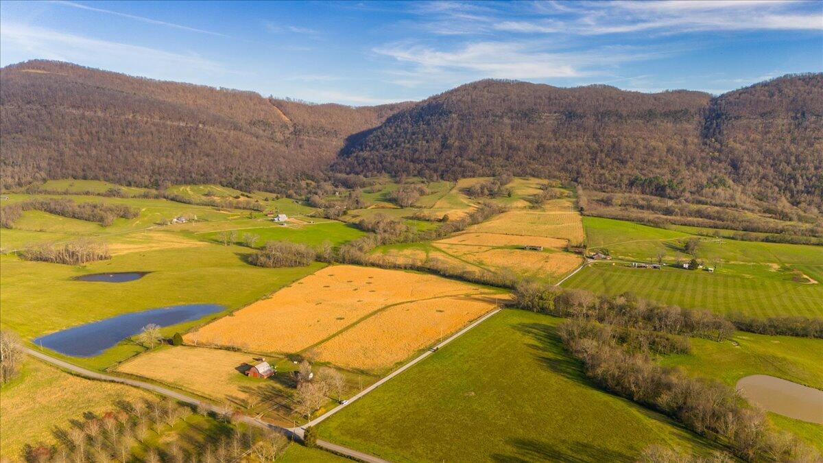11414 Upper East Valley Road, Pikeville, Tennessee image 3