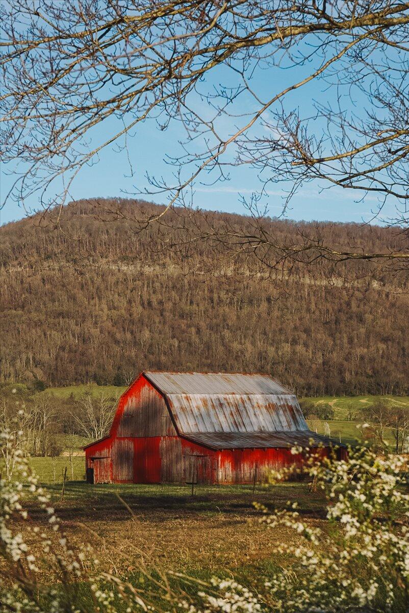 11414 Upper East Valley Road, Pikeville, Tennessee image 23