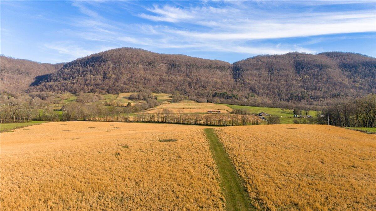 11414 Upper East Valley Road, Pikeville, Tennessee image 9