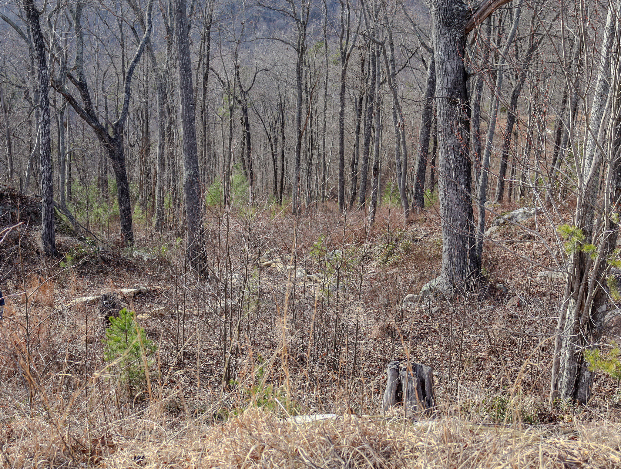 River View Court #LOT 141, Jasper, Tennessee image 9