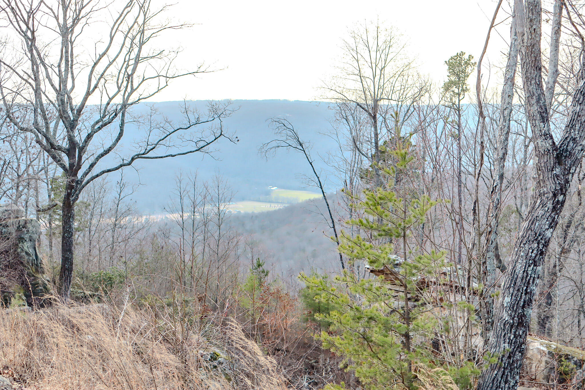 River View Court #LOT 141, Jasper, Tennessee image 1