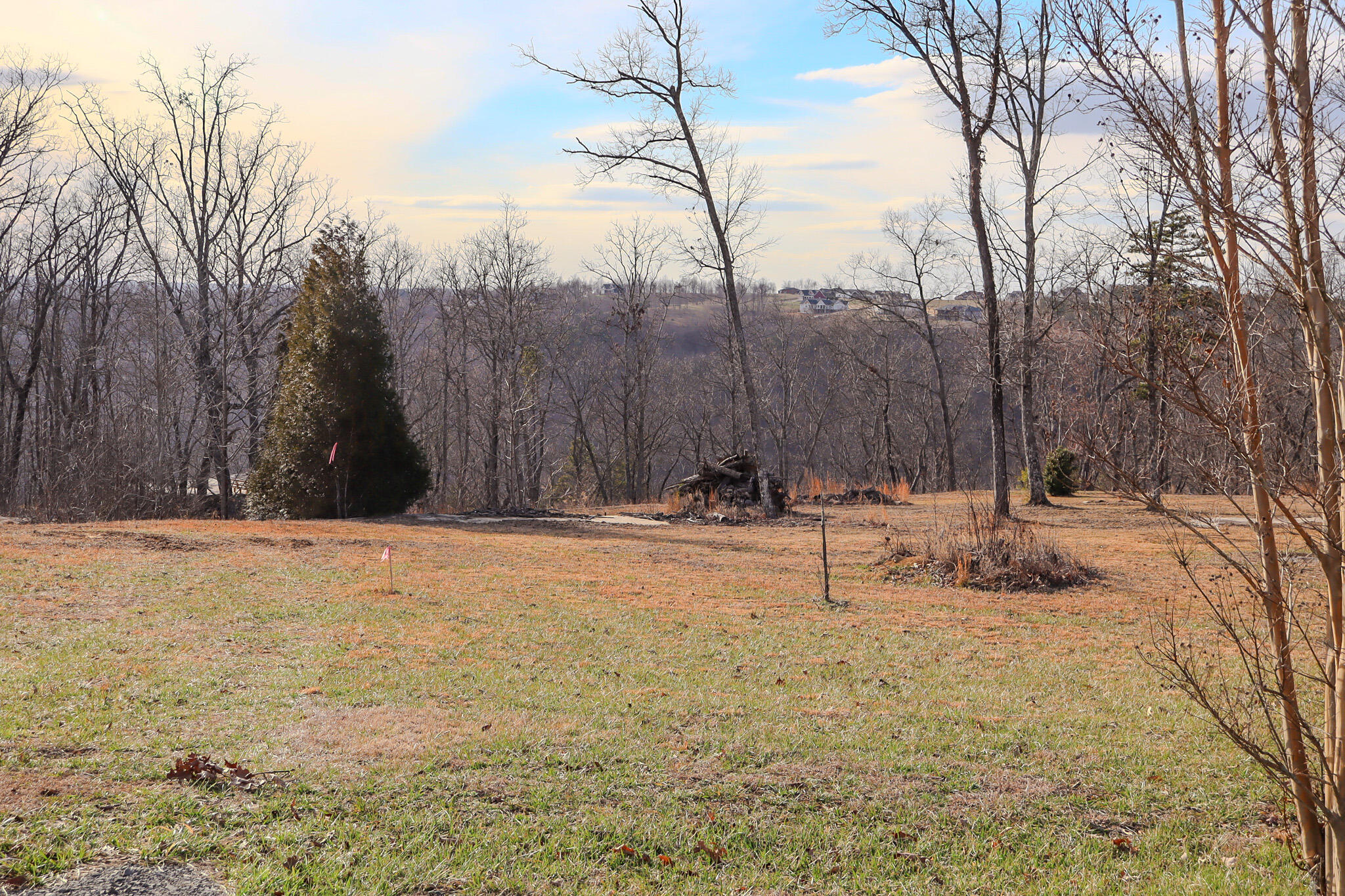 River View Court #LOT 141, Jasper, Tennessee image 5