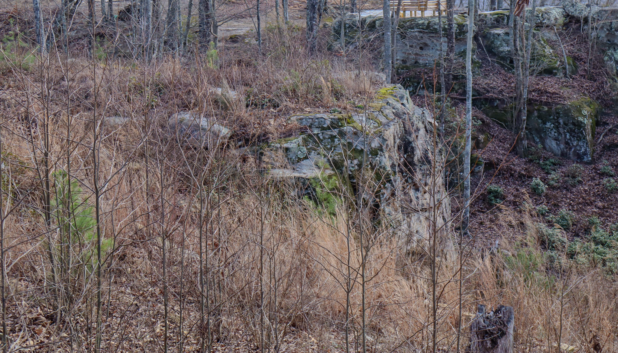 River View Court #LOT 141, Jasper, Tennessee image 11