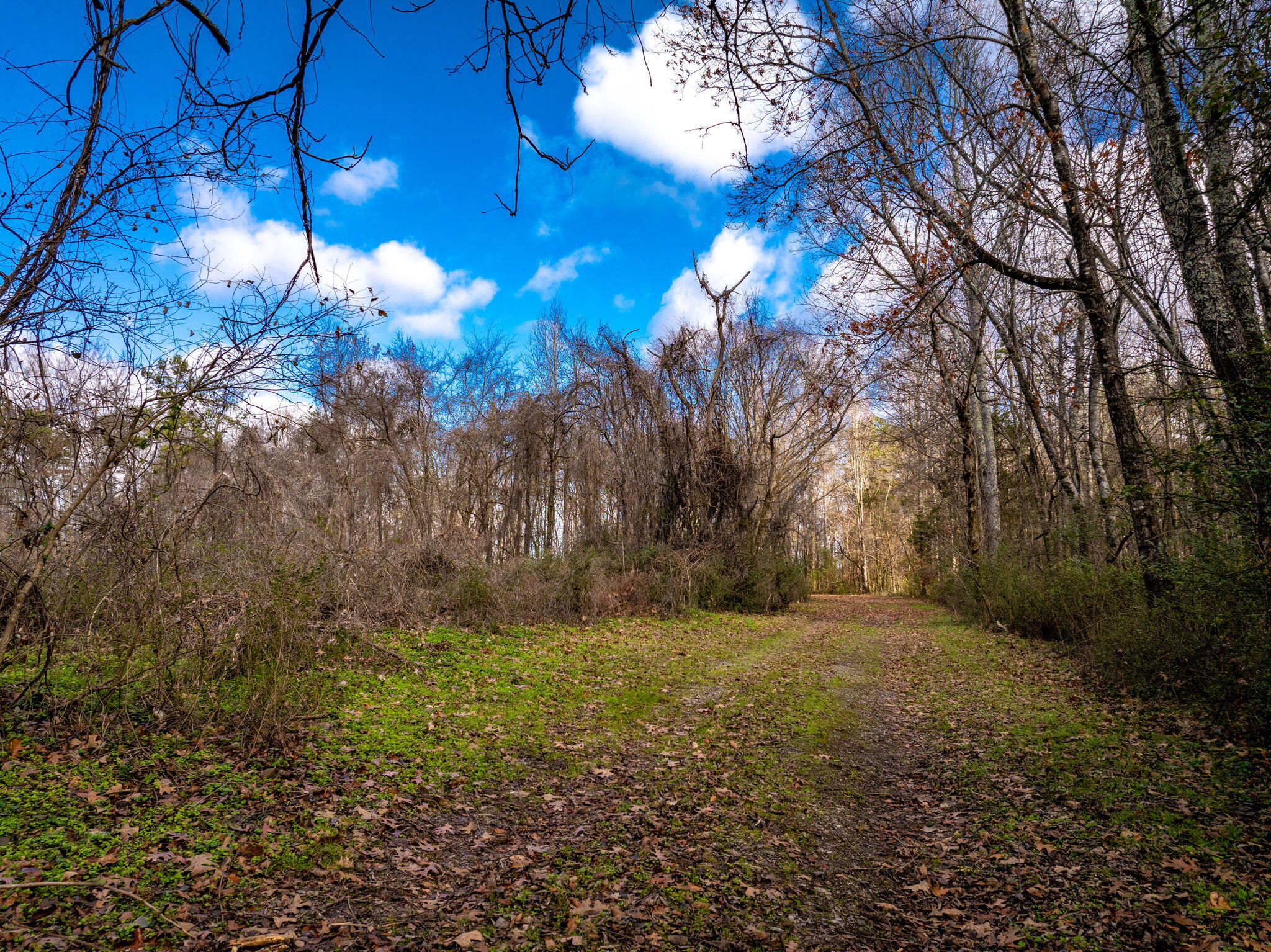 1085 Rhea County Highway, Dayton, Tennessee image 11