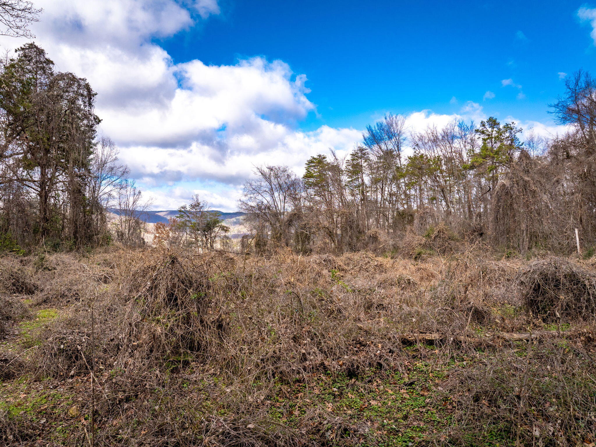 1085 Rhea County Highway, Dayton, Tennessee image 13