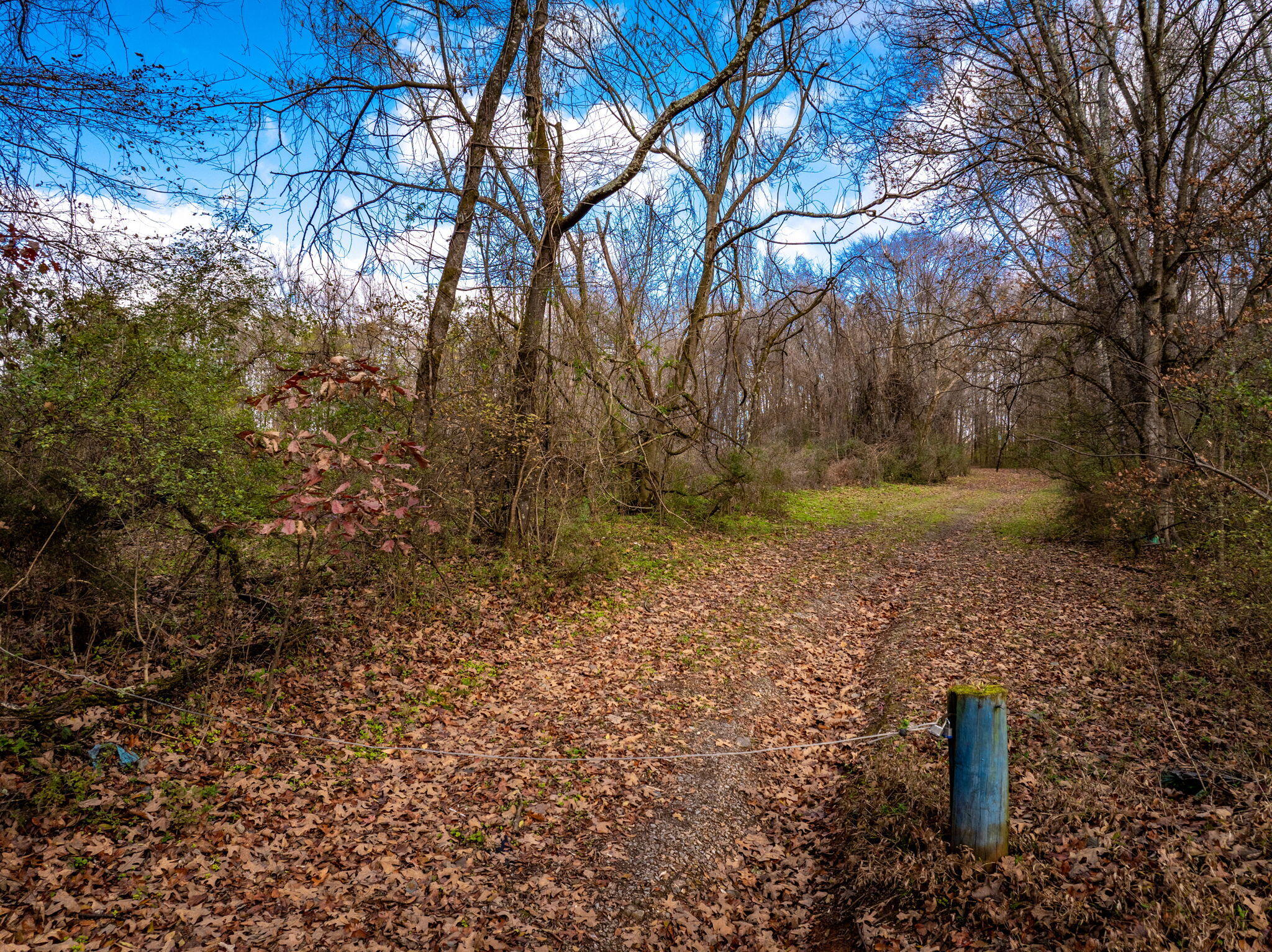 1085 Rhea County Highway, Dayton, Tennessee image 12