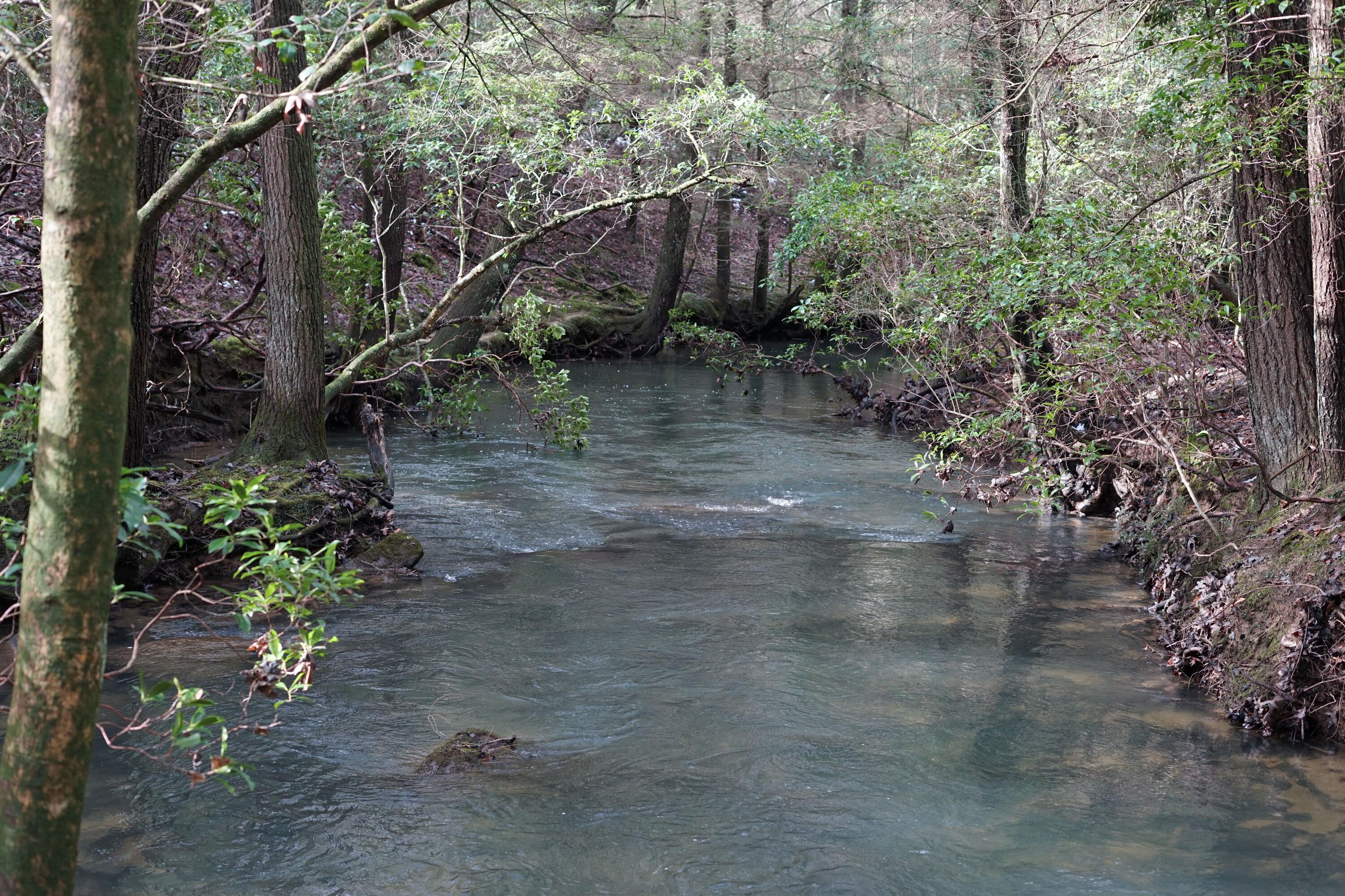 Lone Wolf Trail, Spencer, Tennessee image 1